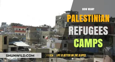Palestinian Refugee Camps: Counting the Shelters of Displacement
