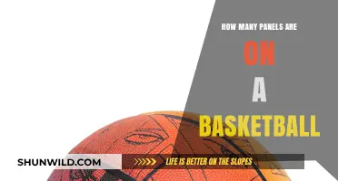 The Evolution of Basketball Design: Panels and Their Purpose