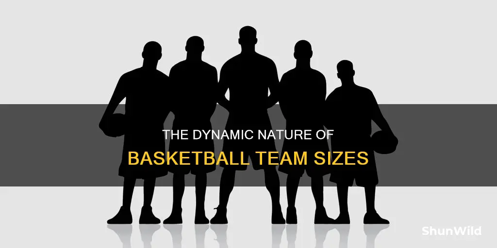 how many participants in basketball
