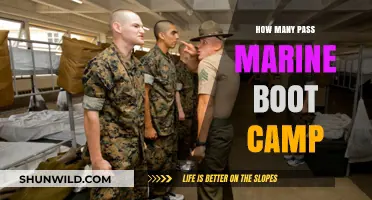 Marine Boot Camp Pass Rates: What Percentage Successfully Complete Training?