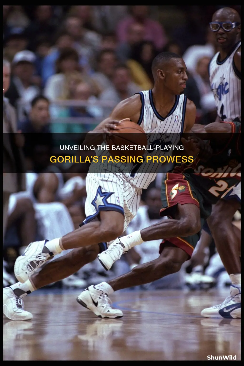 how many passes basketball gorilla