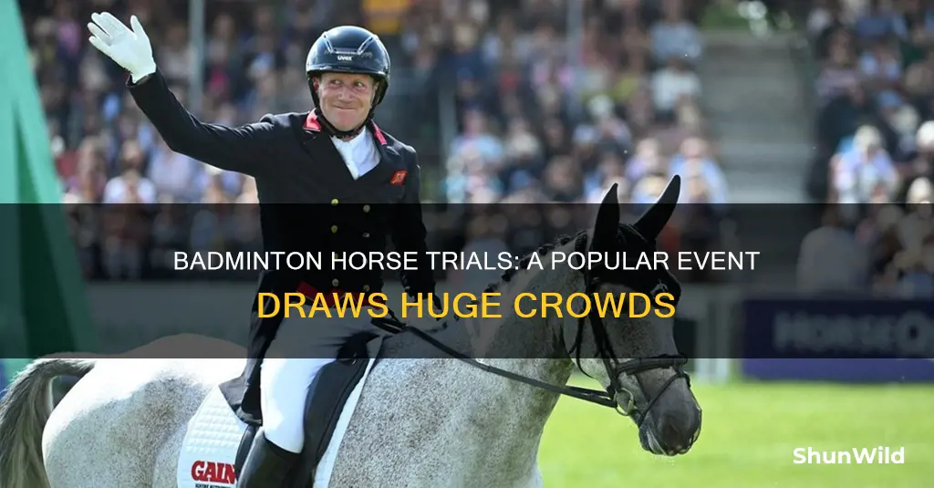 how many people attend badminton horse trials