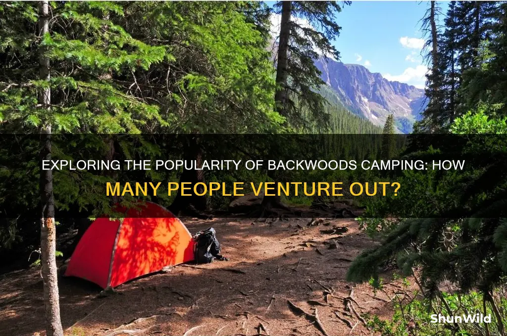 how many people backwoods camp