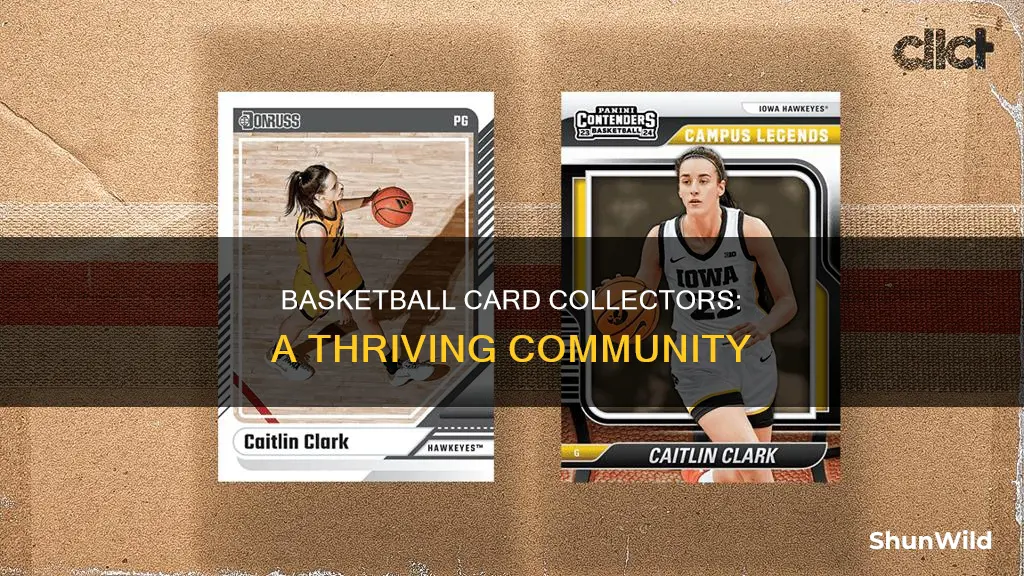 how many people collect basketball cards