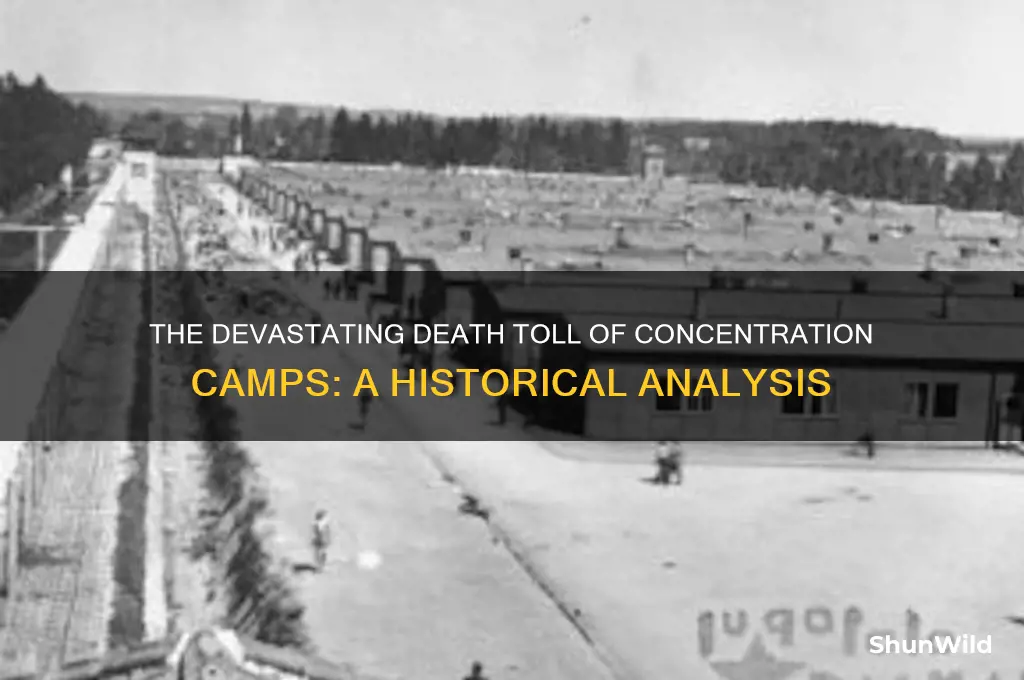 how many people could concentration camps kill