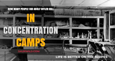 Hitler's Concentration Camps: Uncovering the Devastating Death Toll
