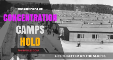 Concentration Camps: Understanding the Scale of Incarceration and Suffering