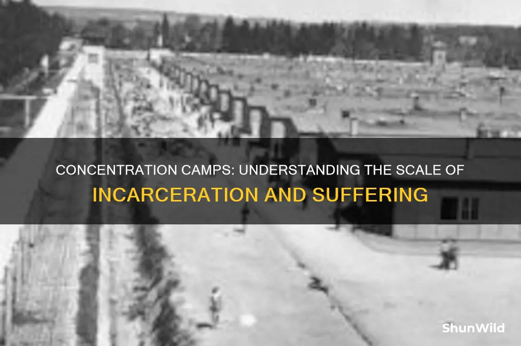how many people did concentration camps hold