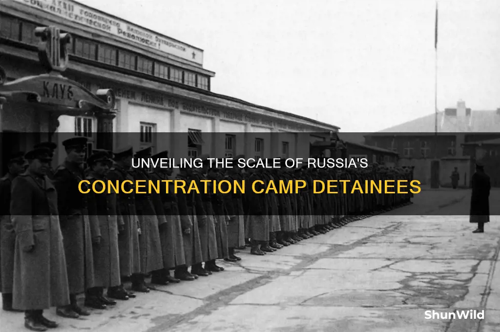 how many people did the russina put in concentration camps