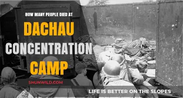 Dachau Concentration Camp: Uncovering the Devastating Death Toll