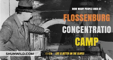 Flossenbürg Concentration Camp: Uncovering the Tragic Death Toll