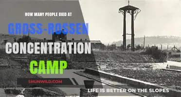 Gross-Rossen Concentration Camp: Uncovering the Devastating Death Toll