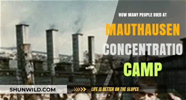 Mauthausen Concentration Camp: Uncovering the Devastating Death Toll