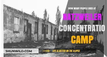 Natzweiler Concentration Camp: Uncovering the Devastating Death Toll