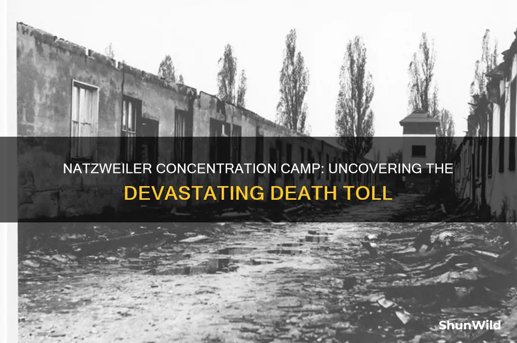 how many people died at natzweiler concentration camp