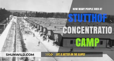 Stutthof Concentration Camp: Unveiling the Tragic Death Toll of Victims