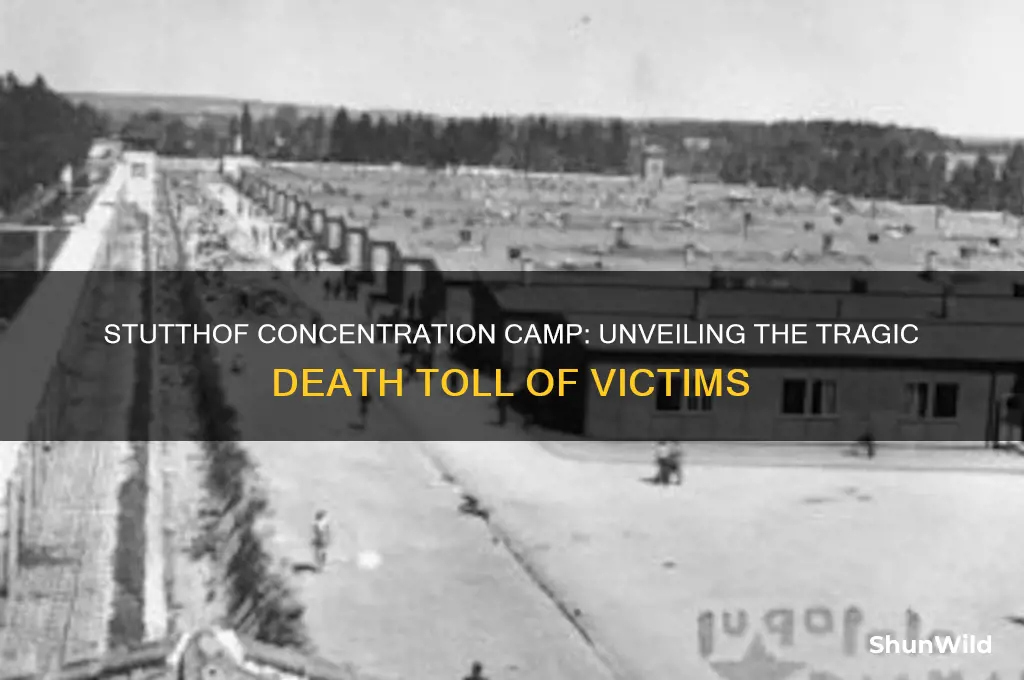 how many people died at stutthof concentration camp