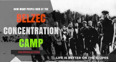 Belzec Concentration Camp: Uncovering the Devastating Death Toll