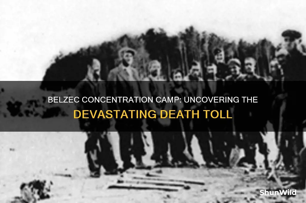 how many people died at the belzec concentration camp