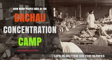 Dachau Concentration Camp: Uncovering the Tragic Death Toll