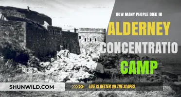 Alderney Concentration Camp: Uncovering the Tragic Death Toll