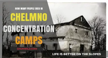 The Tragic Toll of Chelmno: Deaths in the Concentration Camps