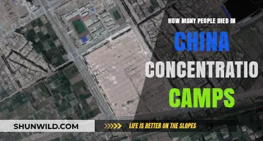 China's Concentration Camps: Uncovering the Devastating Death Toll