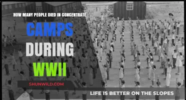 Concentration Camps: WWII's Devastating Death Toll Revealed
