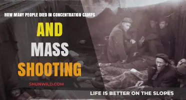 Unimaginable Loss: Concentration Camps and Mass Shootings Death Toll