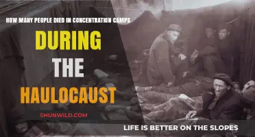 Holocaust's Dark Legacy: Concentration Camp Deaths and Historical Impact