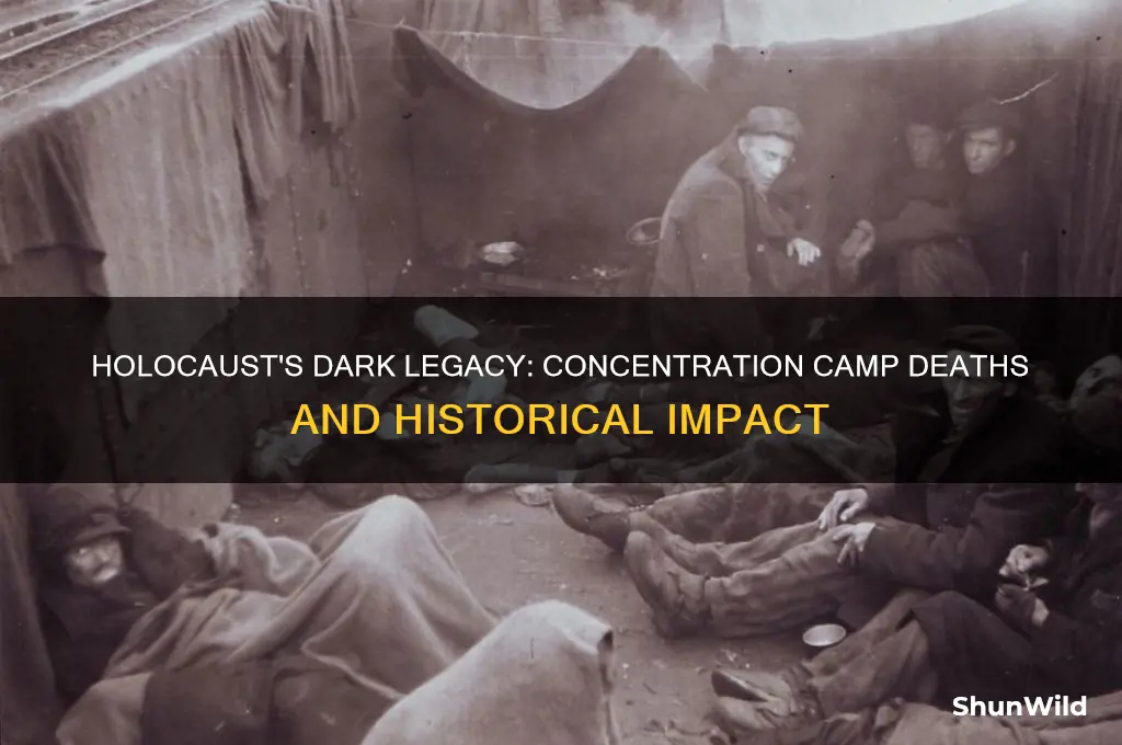 how many people died in concentration camps during the haulocaust