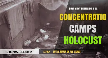Holocaust's Dark Legacy: Unveiling Concentration Camp Death Toll