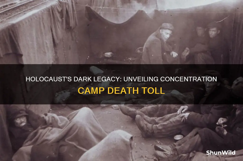 how many people died in concentration camps holocust