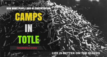 Uncovering the Devastating Toll of Concentration Camps in Total