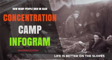 Concentration Camp Deaths: A Visual Breakdown of Fatalities by Camp