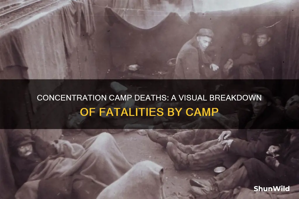 how many people died in each concentration camp infogram