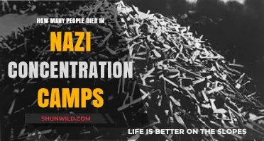 Nazi Concentration Camps: Uncovering the Devastating Death Toll