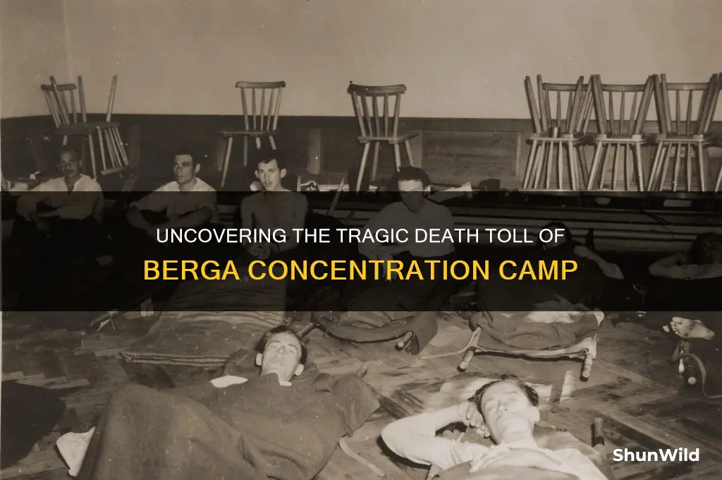 how many people died in the berga concentration camp