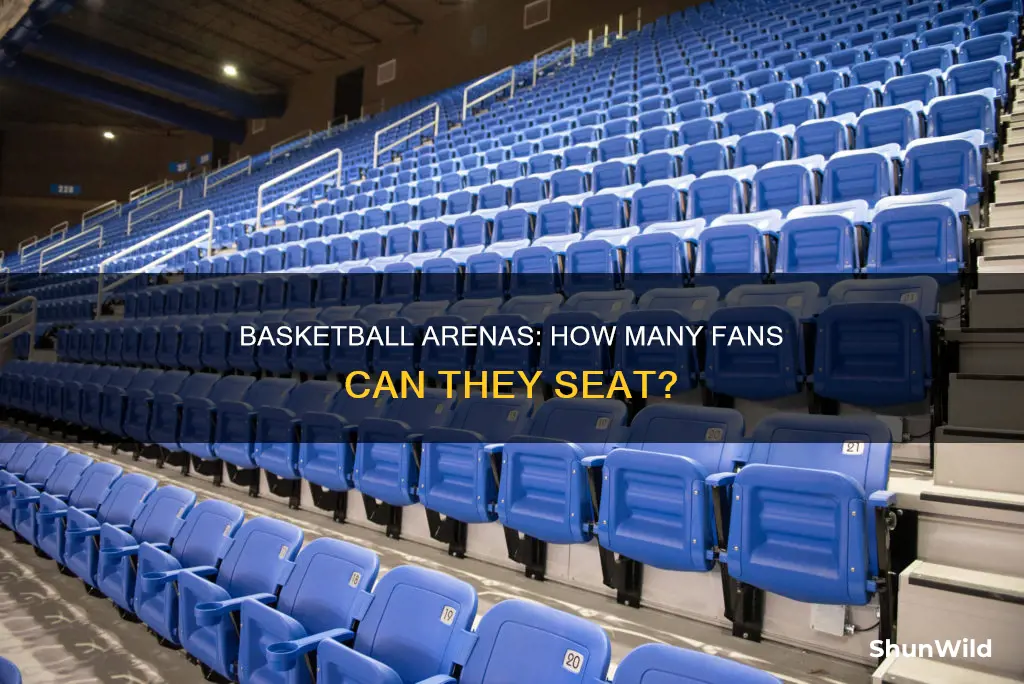how many people does a basketball areana hold