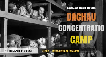 Escaping Dachau: Untold Stories of Survival and Freedom