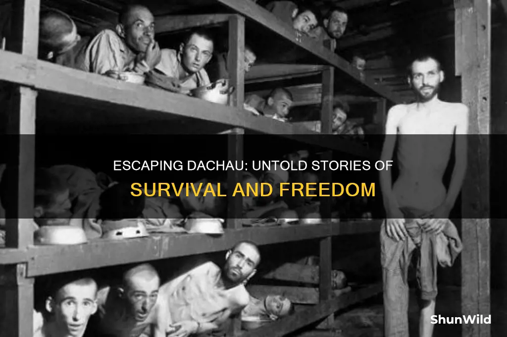 how many people escaped dachau concentration camp