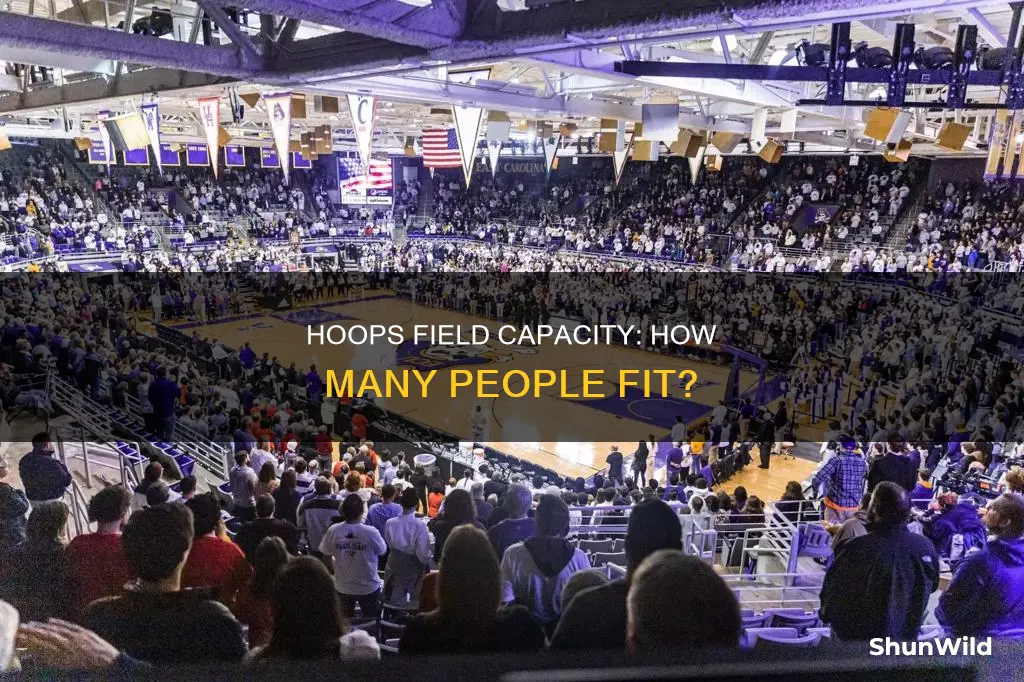 how many people fit in a basketball field