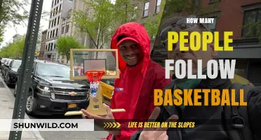 Basketball's Massive Fan Following Explained