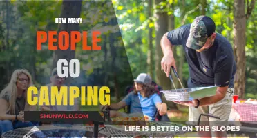 Exploring the Popularity: How Many People Go Camping Annually?