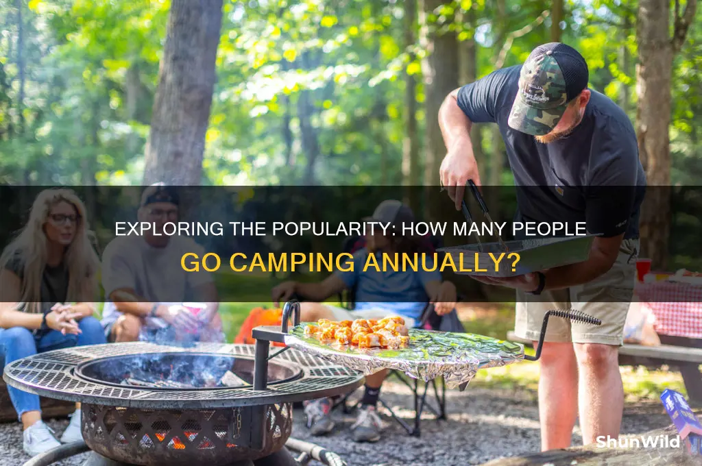how many people go camping