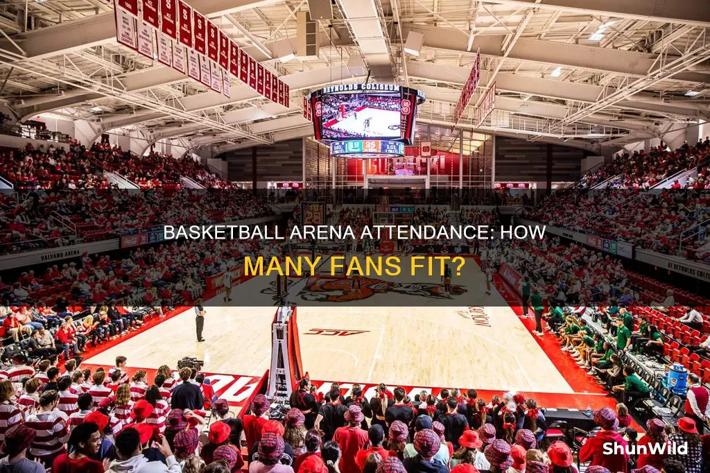 how many people in a basketball arena