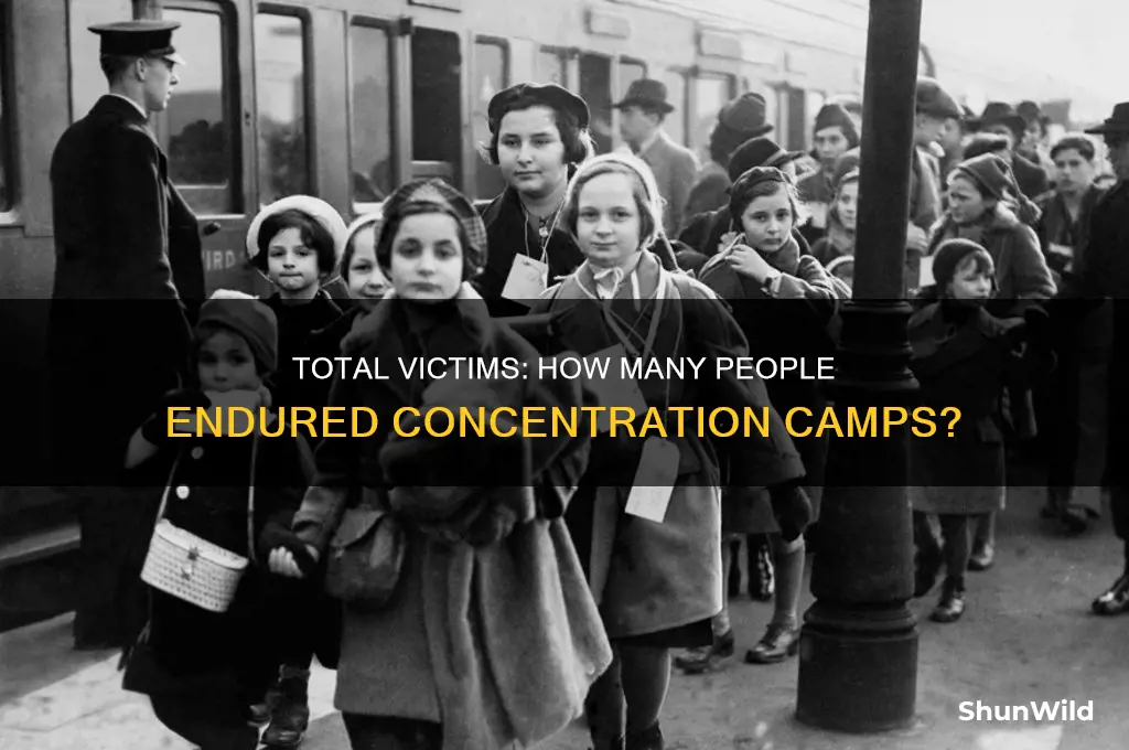 how many people in total went through concentration camps