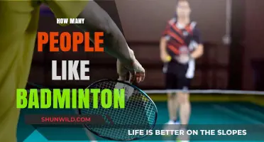 Badminton's Popularity: How Many Rackets Swing?