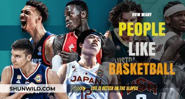 Basketball's Massive Fan Following