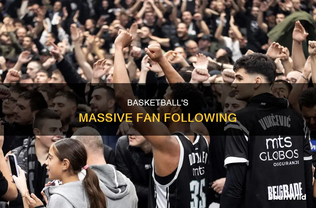 how many people like basketball